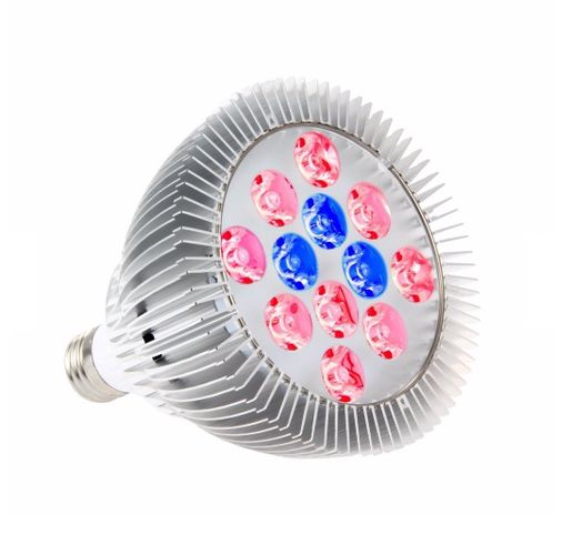 LED lamp E27, 230V, 36W, taimede valgustamiseks, valgus punane + sinine. E27-GROW-36W