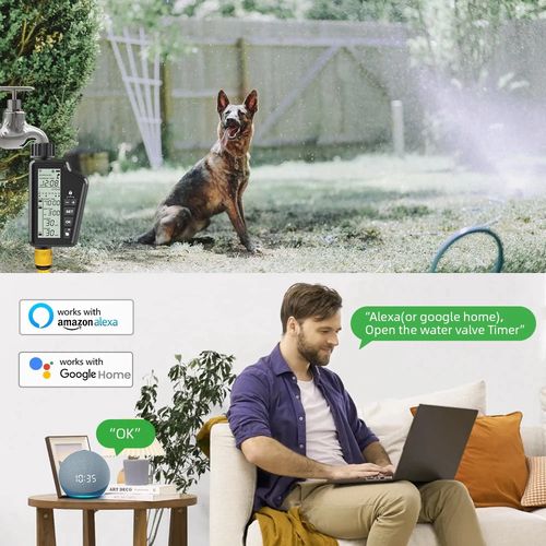 Nutikas vee kastmisventiil koos Wi-Fi, TUYA SWT60