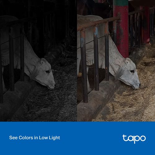 Wi-Fi lauko kamera BULLET, 2K 1440p, LAN, Starlight Color Night Vision, IP66, MicroSD iki 512GB TAPO-C320WS 4897098687031