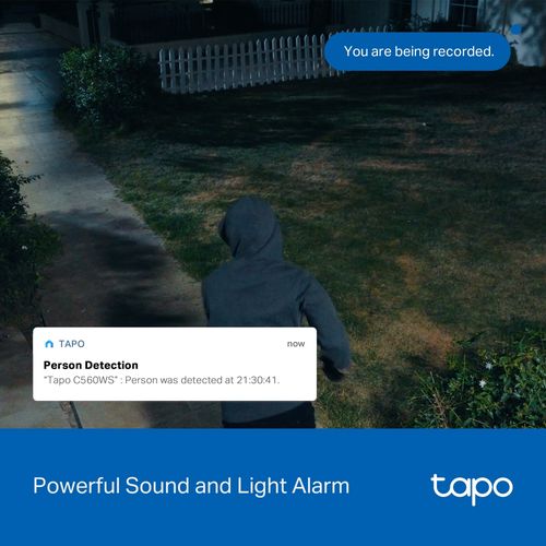 Wi-Fi lauko kamera PT, 4K 8MP, Starlight Color Night Vision, IP66, MicroSD iki 512GB TAPO-C560WS