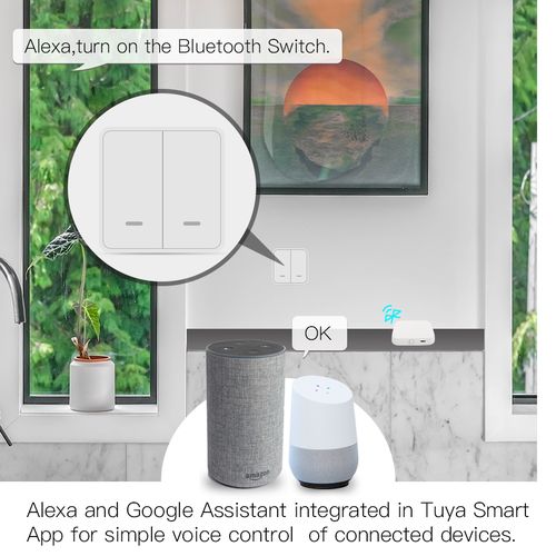 Išmanių namų Bluetooth - Wi-Fi signalo stotelė, BRIDGE, MESH, TUYA / Smart Life BHUB-W-MS 6974246475295