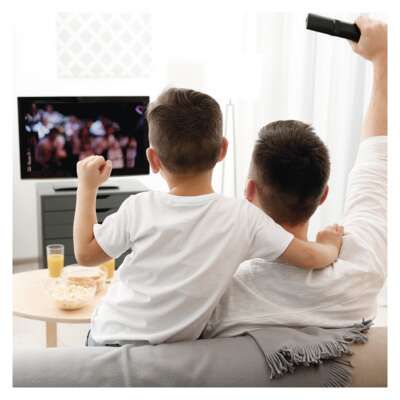 Внутренняя антенна CITY LEAF-C600, DVB-T2, DAB, LTE/4G/5G фильтр J0709 8592920119976