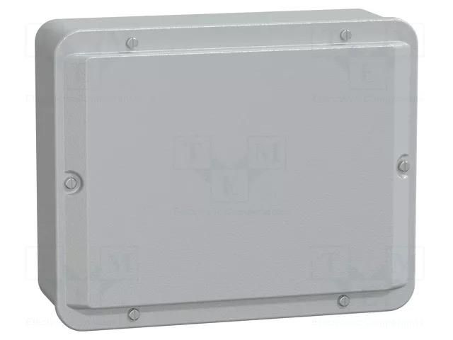 Enclosure: multipurpose; X: 206mm; Y: 256mm; Z: 93mm; Spacial SDB SCHNEIDER ELECTRIC NSYDBN2520