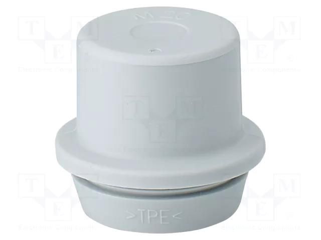 Grommet; elastomer thermoplastic TPE; -25÷35°C; 6÷13mm; IP55 HENSEL HENSEL-ESM-20