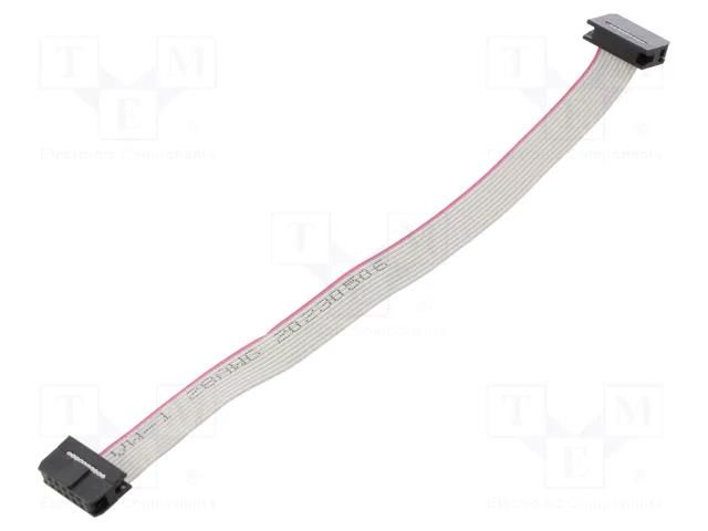 Ribbon cable with IDC connectors; Tape ph: 1mm; Contacts ph: 2mm CONNFLY DS1052-01-10NA2015