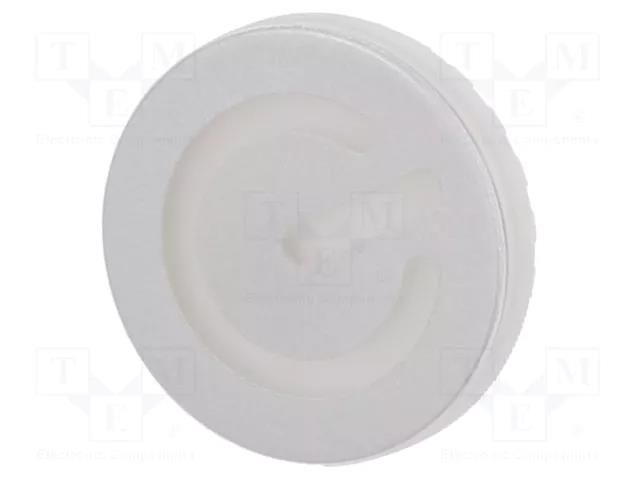 Actuator lens; 22mm; 84; transparent; plastic EAO 84-7111.703