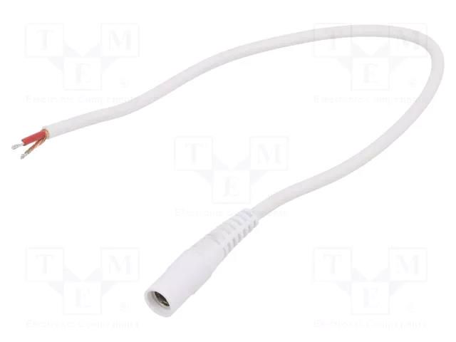 Cable; 1x1mm2; wires,DC 5,5/2,1 socket; straight; white; 0.25m WEST POL S21-TT-C100-025WH