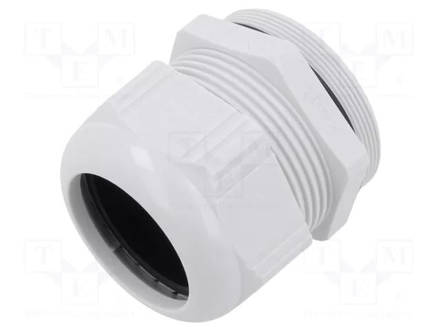Cable gland; M63; 1.5; polyamide; light grey; SKINTOP® LAPP ST-M63-R7035