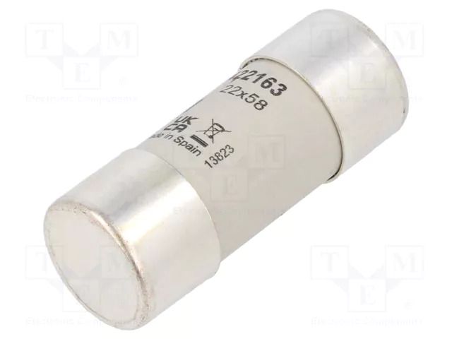 Fuse: fuse; 63A; 690VAC; 440VDC; gG; 22x58mm DF ELECTRIC 422163