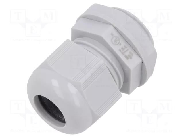 Cable gland; M20; 1.5; IP68; polyamide; light grey; Entrelec TE Connectivity 1SNG626049R0000