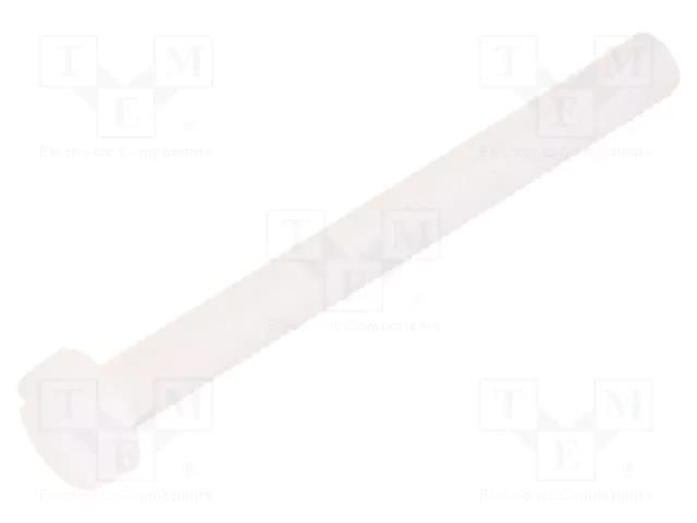 Screw; M3x30; 0.5; Head: cheese head; slotted; 0.9mm; polyamide DREMEC DR8G201M3X30