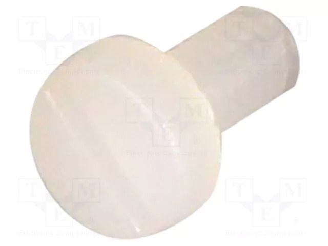 Screw; M2x4; 0.4; Head: cheese head; slotted; 0.6mm; polyamide DREMEC DR8G201M2X4