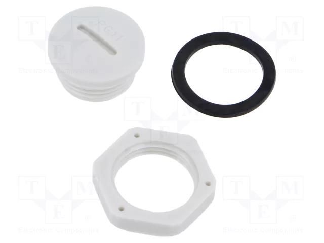 Stopper; PG11; polyamide; light grey; Thread: PG KRADEX ZCG-PG11J-PLUGPA66
