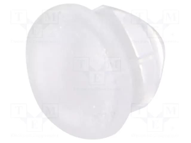 Fiber for LED; Ø5mm; L: 3mm; round; Front: convex BIVAR PLW5-3MM