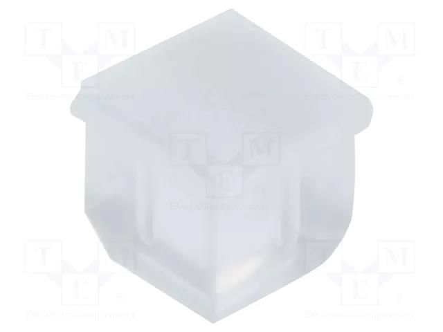 Fiber for LED; 3.3x3.3mm; L: 2.5mm; square; Front: convex; straight BIVAR PLPQ3-100