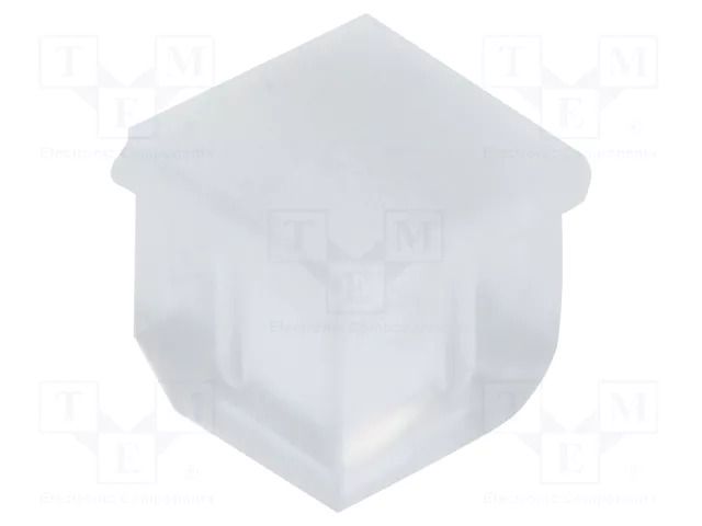 Fiber for LED; 3.3x3.3mm; L: 2.5mm; square; Front: convex; straight BIVAR PLPQ3-100