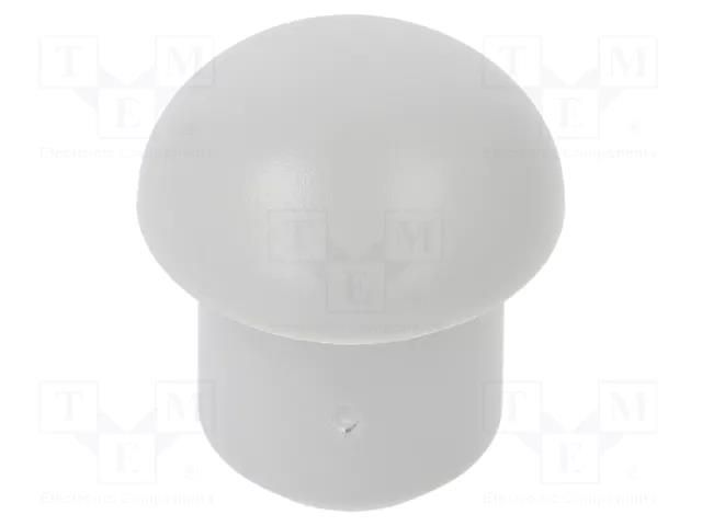 Stopper; polyamide; light grey; Entrelec; Ø: 9.7mm; Size: 13; L: 9mm TE Connectivity 1SNG610016R0000