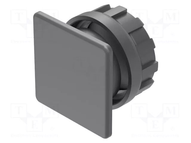 Plug; 22mm; OptoHiT; Ø22.5mm; black; plastic; Face dim: 30x30mm EAO 704.964.7