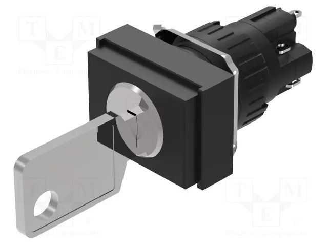 Switch: rotary with key; 16mm; Stabl.pos: 1; NC + NO; 51; Pos: 2 EAO 51-495.025D2