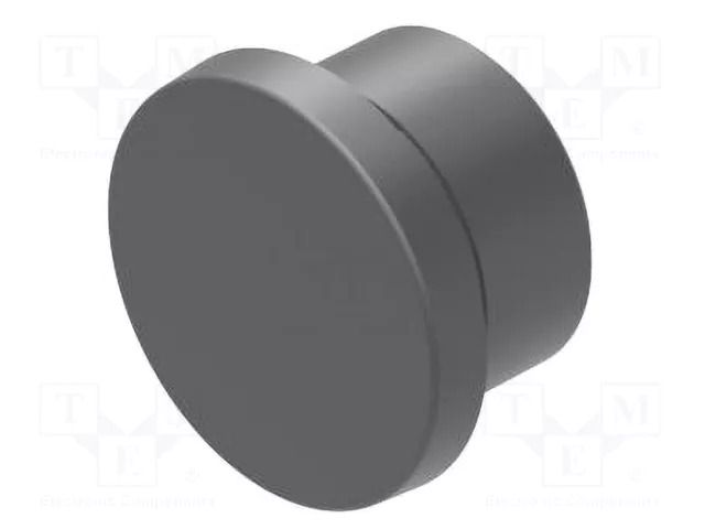 Plug; 22mm; OptoHiT; Ø22.5mm; black; plastic; Face dim: Ø28mm EAO 704.960.4