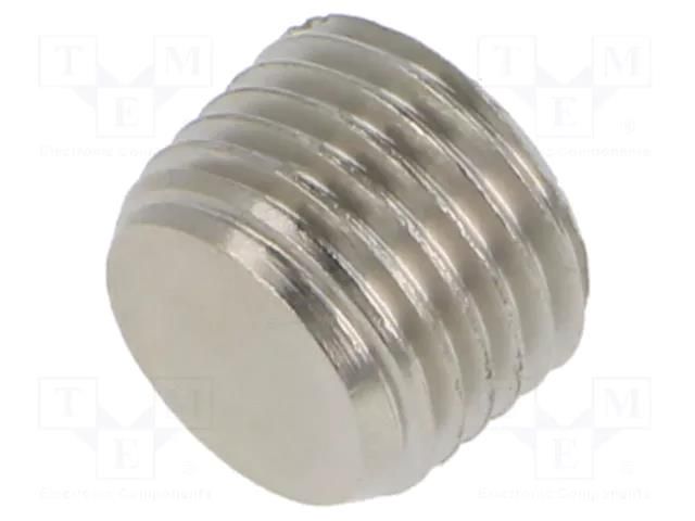 Accessories: screw plug; R 1/4" external; nickel plated brass PNEUMAT 3025-1/4