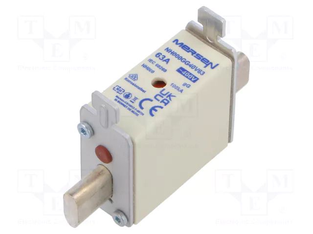Fuse: fuse; 63A; 400VAC; gG; ceramic,industrial; NH000 MERSEN L223685