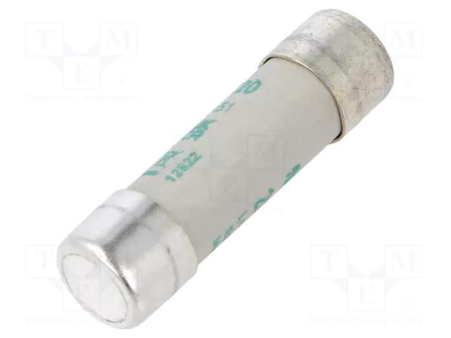 Fuse: fuse; 20A; 500VAC; aM; ceramic,cylindrical,industrial DF ELECTRIC 441220