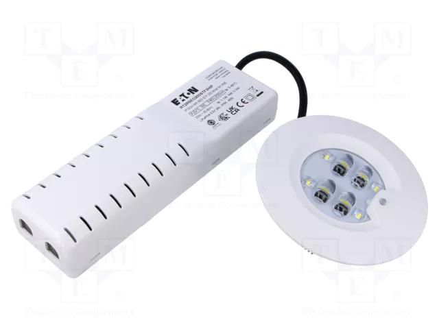 Lamp: LED emergency luminaire; RoundTech; IP65; white; 1.1W; 200lm EATON ELECTRIC RT2RSEO200STF3HIP