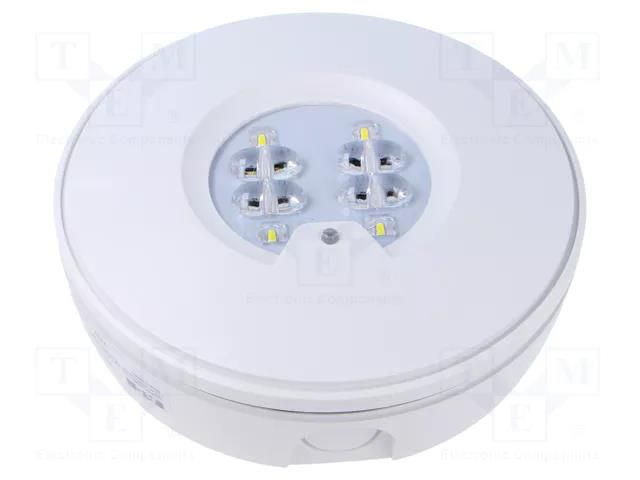Lamp: LED emergency luminaire; RoundTech; IP65; white; 1.1W; 200lm EATON ELECTRIC RT2SSEO200ATF1HIP