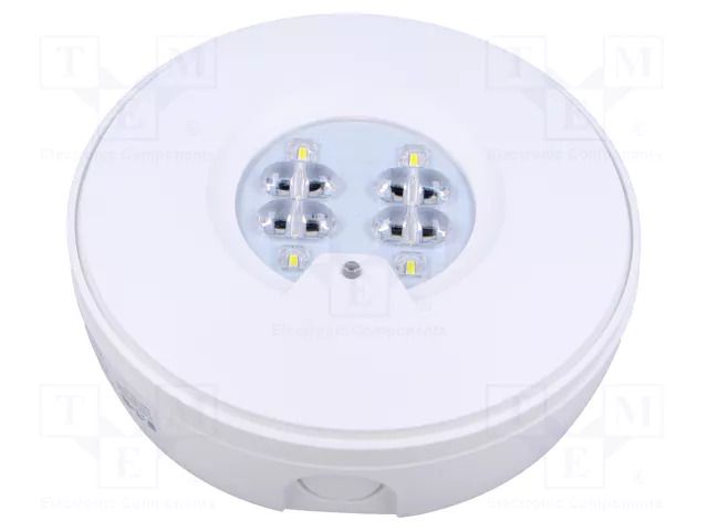 Lamp: LED emergency luminaire; RoundTech; IP65; white; 1.1W; 200lm EATON ELECTRIC RT2SSEO200STF1HIP