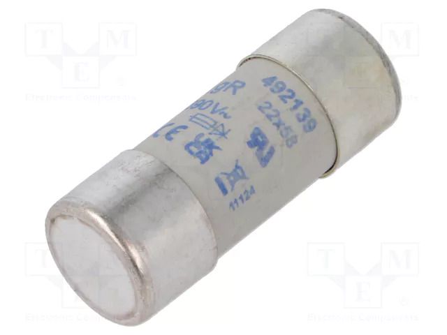 Fuse: fuse; 80A; 690VAC; 446VDC; gR; 22x58mm DF ELECTRIC 492139