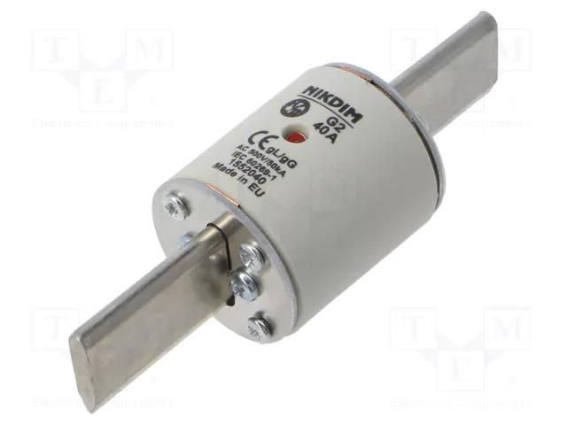 Fuse: fuse; 40A; 500VAC; gG; industrial; NHg NIKDIM LTD 1552040