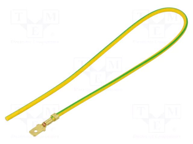 Cable: cable with crimped terminals; yellow-green; Len: 250mm CHEVAL A48-100YG025