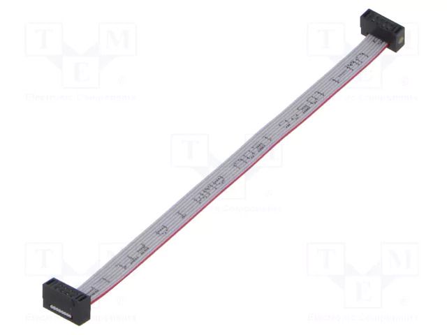 Ribbon cable with IDC connectors; IDC,both sides; 101.6mm; 4" SAMTEC FFSD04D040001