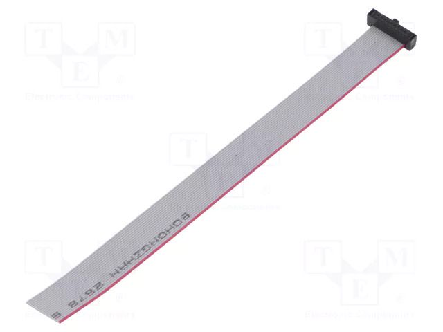 Ribbon cable with IDC connectors; IDC,wires; Tape ph: 0.64mm SAMTEC FFSD10S060001NRW