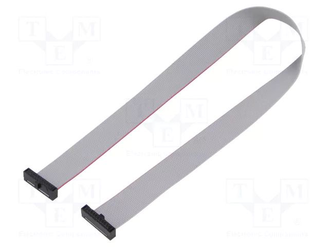 Ribbon cable with IDC connectors; IDC,both sides; 304.8mm; 12" SAMTEC FFSD10D120001N