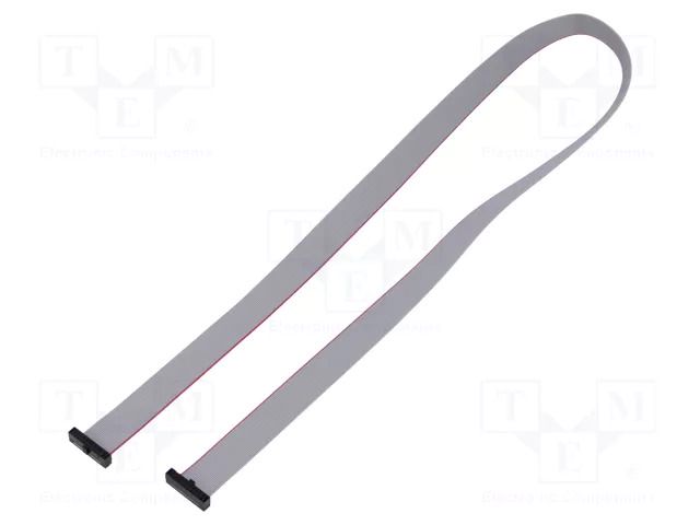 Ribbon cable with IDC connectors; IDC,both sides; 609.6mm; 24" SAMTEC FFSD10D240001N