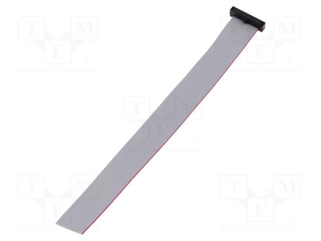Ribbon cable with IDC connectors; IDC,wires; Tape ph: 0.64mm SAMTEC FFSD12S060001N