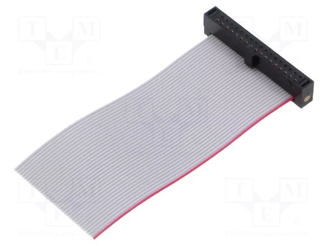 Ribbon cable with IDC connectors; IDC,wires; Tape ph: 0.64mm SAMTEC FFSD17S020001N