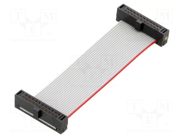 Ribbon cable with IDC connectors; IDC,both sides; 50.8mm; 2" SAMTEC FFSD11D020001N