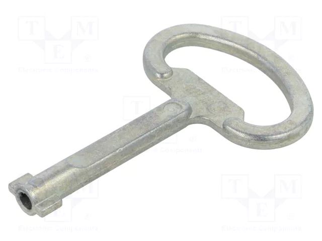 Key; Key code: D5 RITTAL RITTAL-2531000