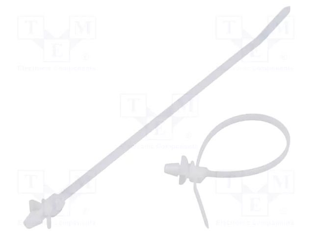 Cable tie; with fixing lugs; L: 152mm; W: 3.4mm; natural; polyamide PANDUIT PLWP1.5I-D