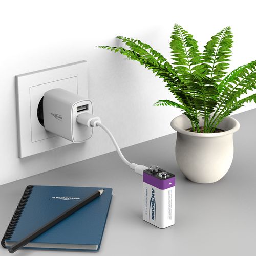 Įkraunamos baterijos 1604 9V 400mAh (Li-Ion 3.7Wh) su USB-C lizdu, max iškrovimo srovė 0.4A ANSMANN 1315-0005 4013674194001