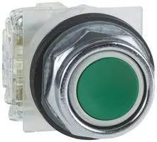 PUSHBUTTON, 30MM 9001KR1UH5