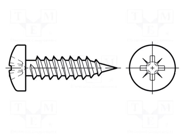 Screw; 3.9x38; Head: cheese head; Pozidriv; PZ2; ISO 7049; BN 13259 BOSSARD B3.9X38/BN13259