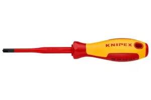 POZIDRIVE SCREWDRIVER, 100MM, #2 98 25 02 SLS