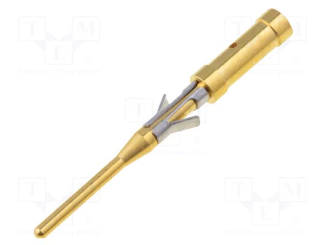 Contact; male; Buccaneer 6000,Buccaneer 7000; brass; gold-plated BULGIN SA3542/P