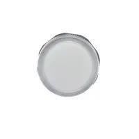 PILOT LIGHT, CLEAR, 230V, 22.3MM, SCREW 1SFA619403R5238