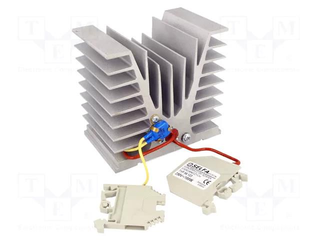 Heater; heatsink; 100W; 230V; for DIN rail mounting; 62x95x100mm SELFA 56.123