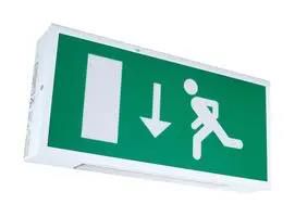 EMERGENCY LIGHT, LED, 220-240VAC, IP20 7TCA091160R0570